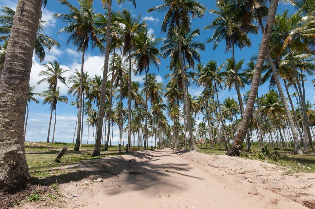 Ponta De Areia